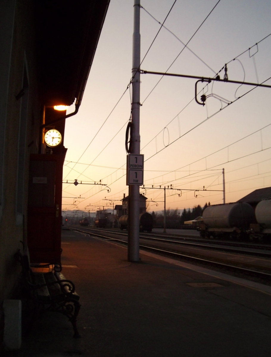 Brezice railway station